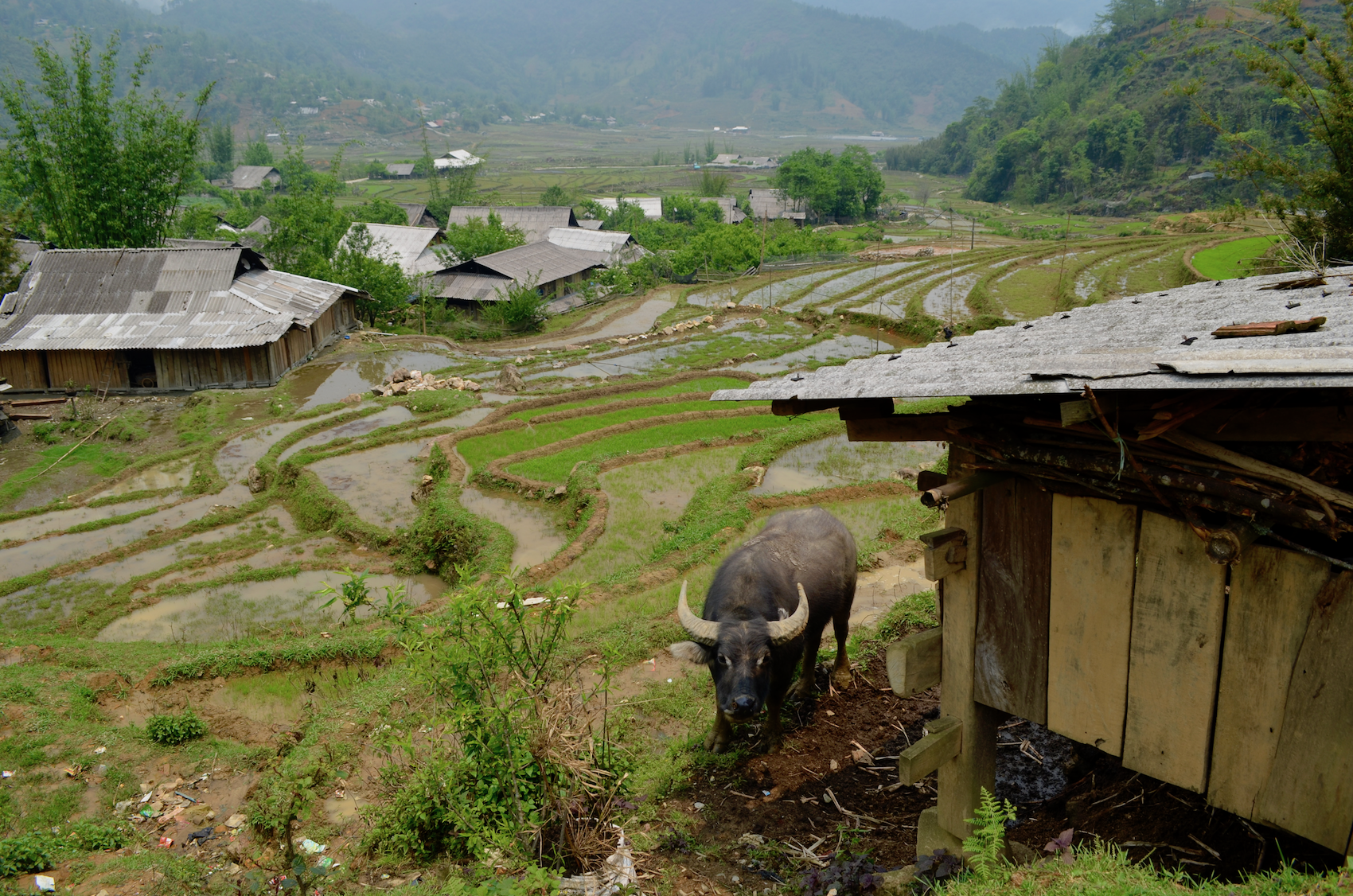 SaPa, Vietnam